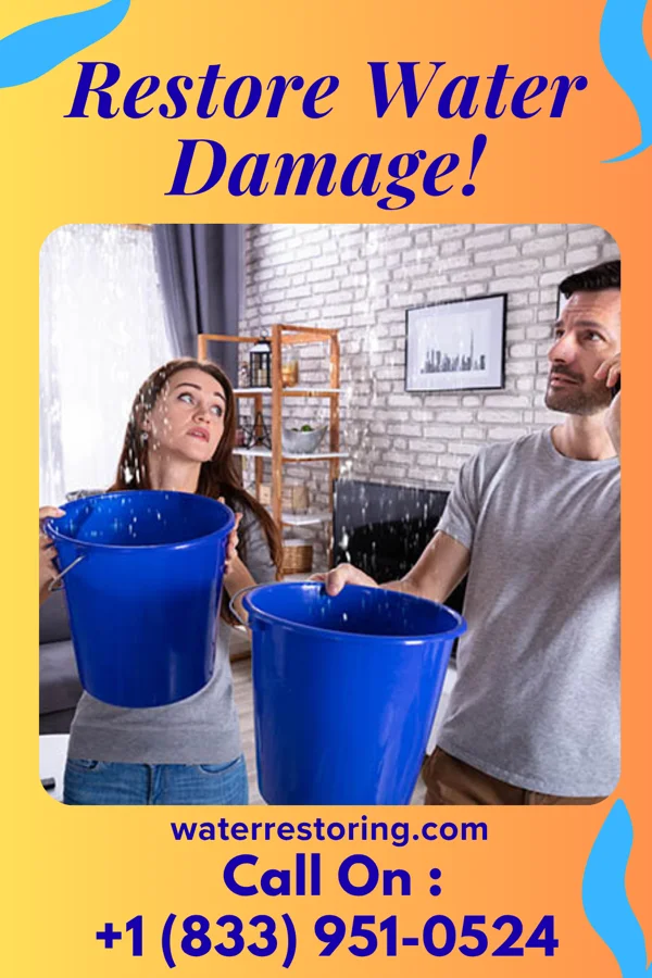 water restoration Sentinel Damage Restoration Professionals Pembroke Park